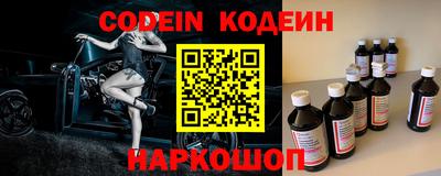 apvp Кингисепп