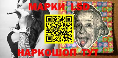 apvp Кингисепп