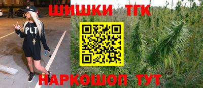 apvp Кингисепп