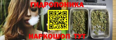 apvp Кингисепп