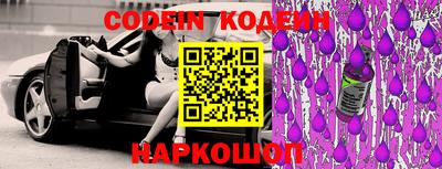 apvp Кингисепп