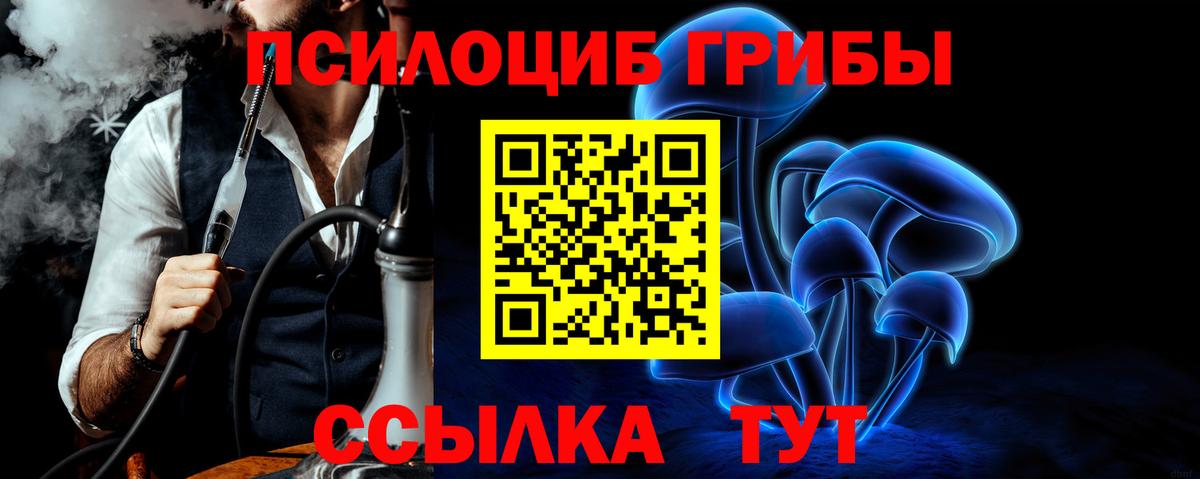 Псилоцибиновые грибы мицелий Кострома